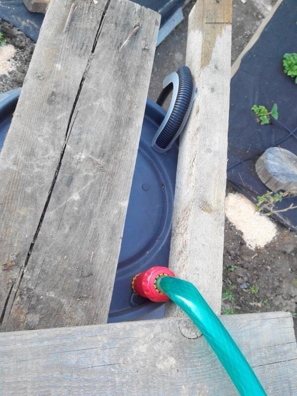 Как устроить капельный полив земляники на даче