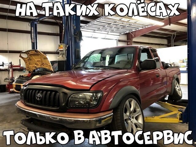 Автовсячина