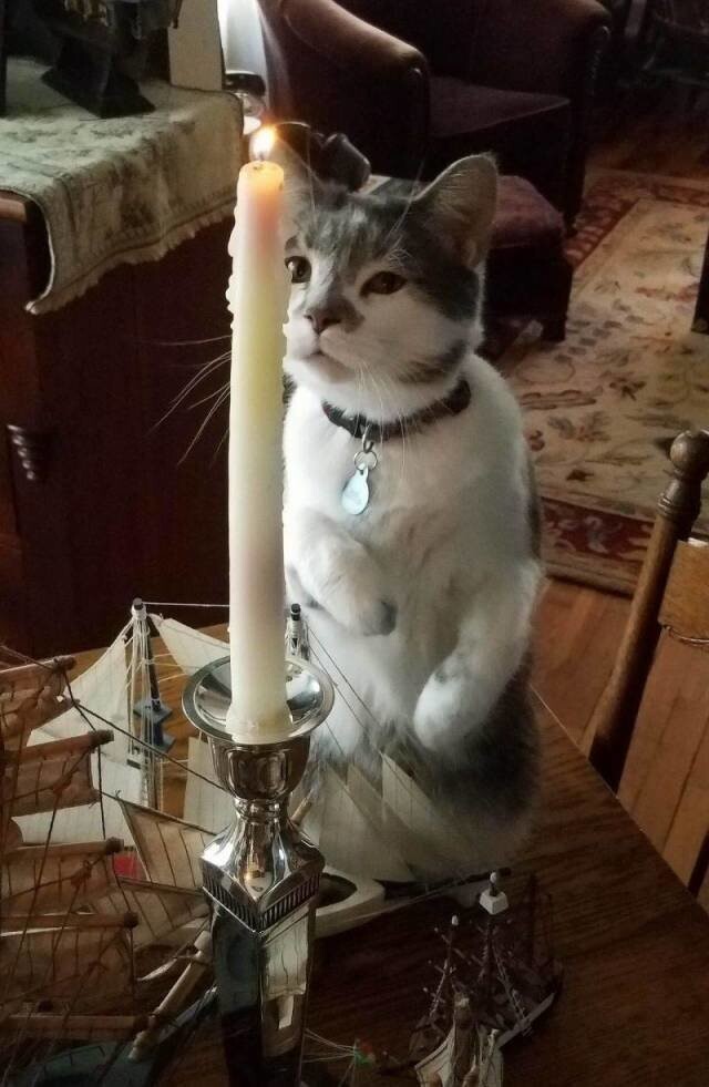 Взгляд на свечку