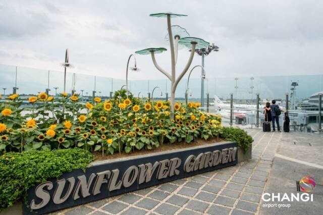 Сингапурский аэропорт Чанги - победитель конкурса "Лучший аэропорт мира"