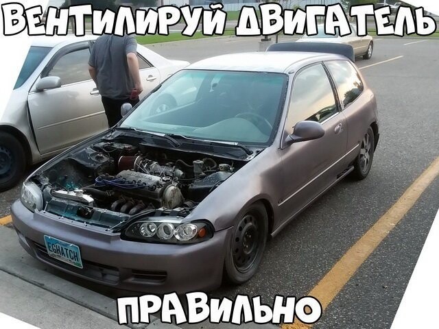 Автовсячина