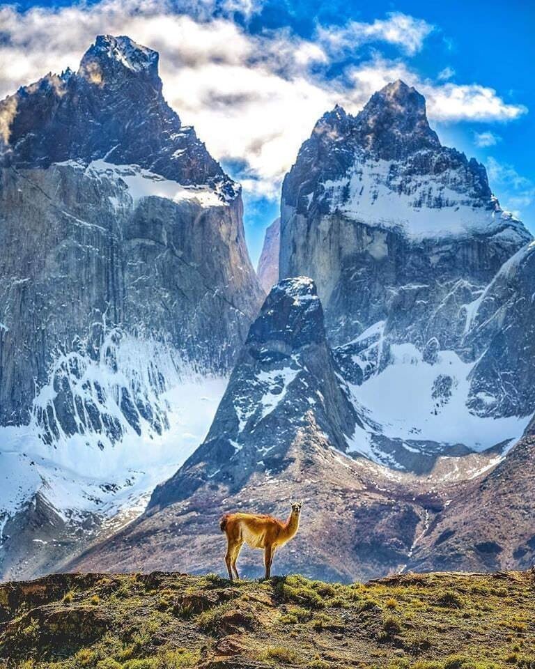 Национальный парк Торрес дель Пайне, Патагония
