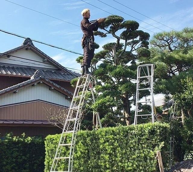 На пути к своей мечте: Тацумаса Мурасаме - слишком красивый шведский садовник, принявший гражданство Японии