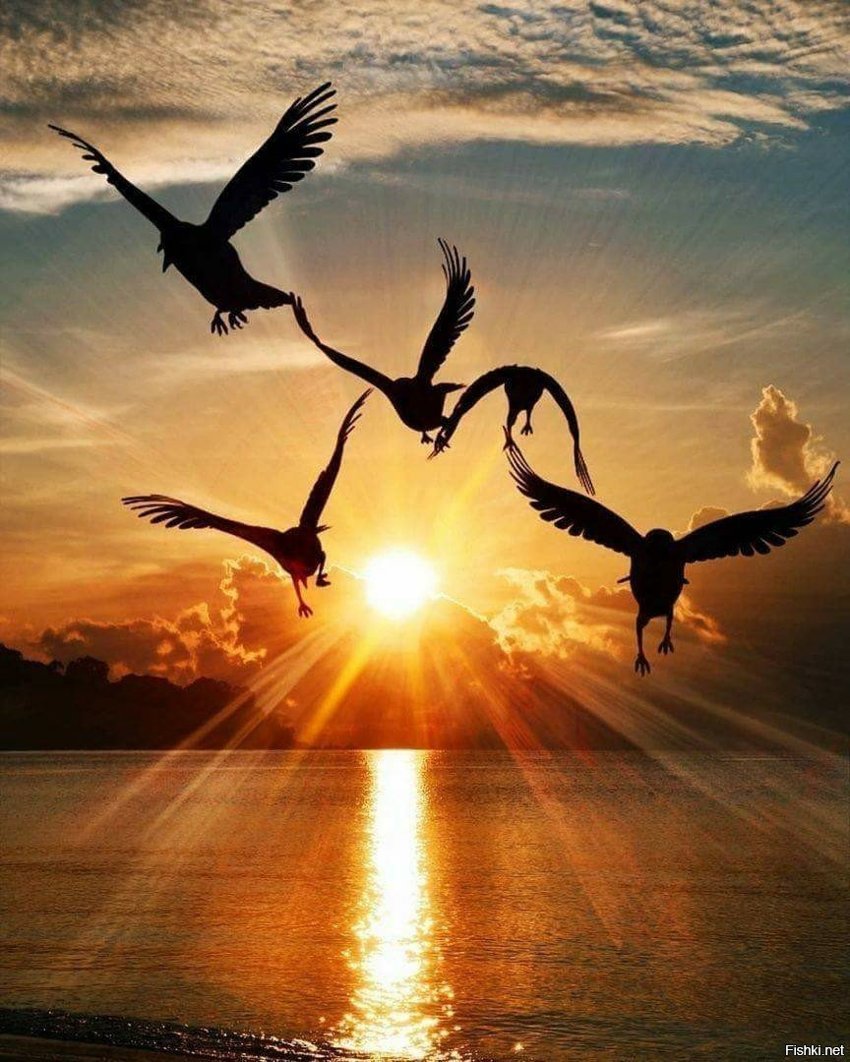 "Там столько вкусного