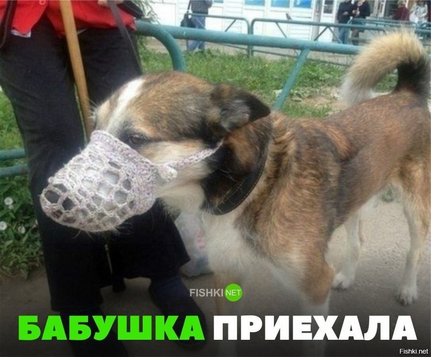 Бабушка приехала