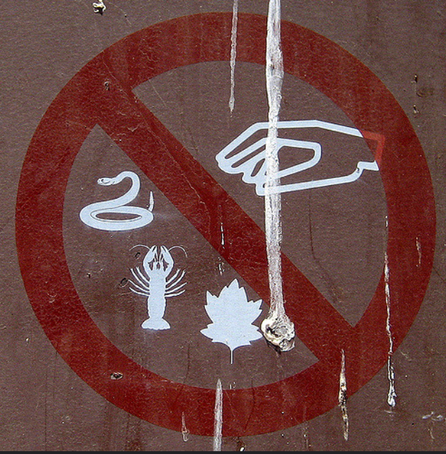 Буйство запретов: подборка запрещающих надписей и знаков. Часть 3