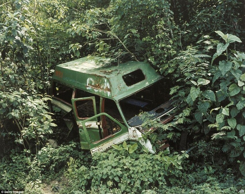22. Зеленый заброшенный фургон в неизвестном месте, поглощенный пейзажем.