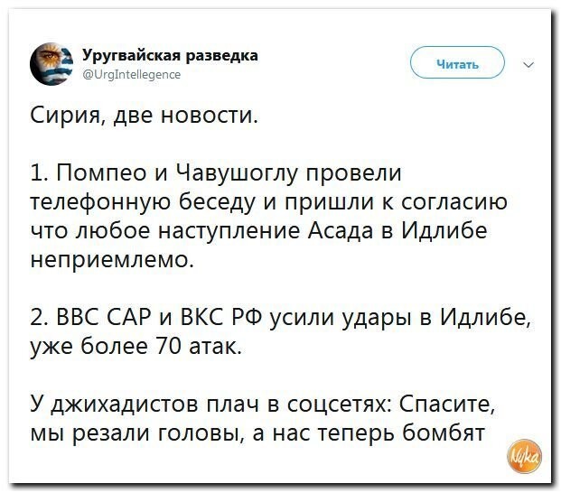 Политические коментарии соцсетей - 574