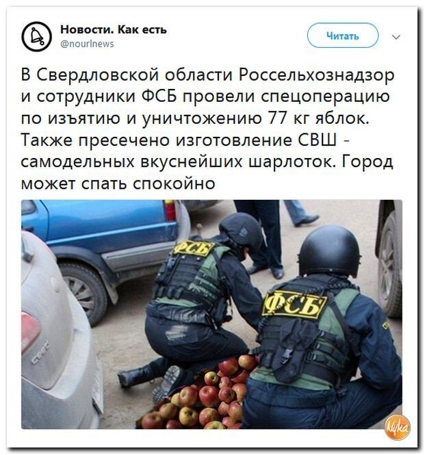 Политические коментарии соцсетей - 574