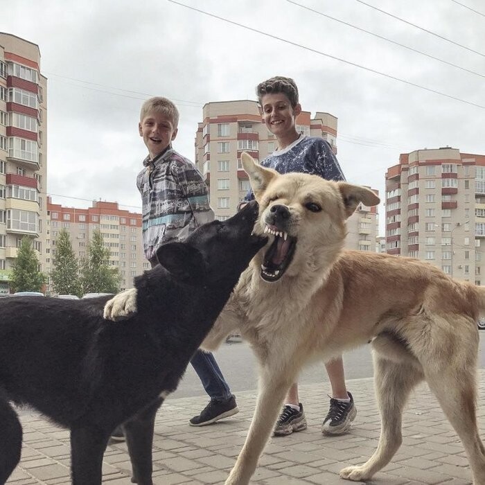 «Д» – дружбаны