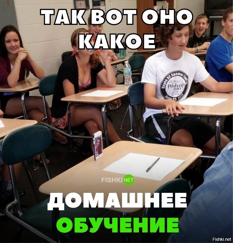 Домашнее обучение