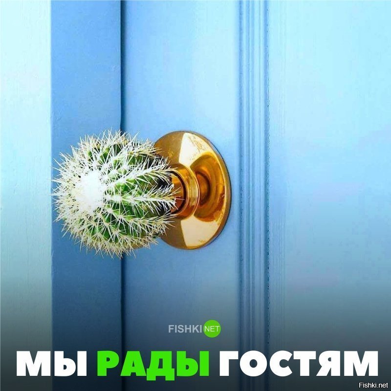 Мы рады гостям