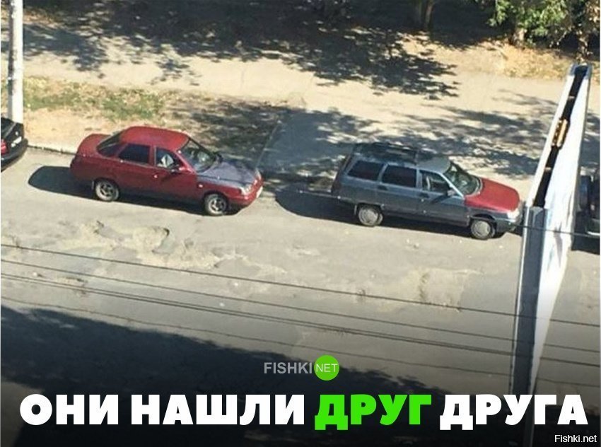 Нашли друг друга
