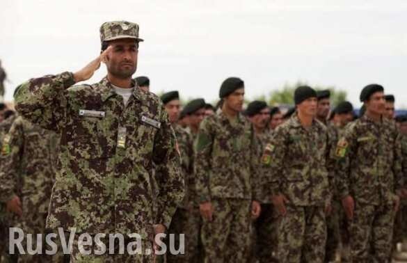 А ситчик у вас есть? такой, знаете, веселенький