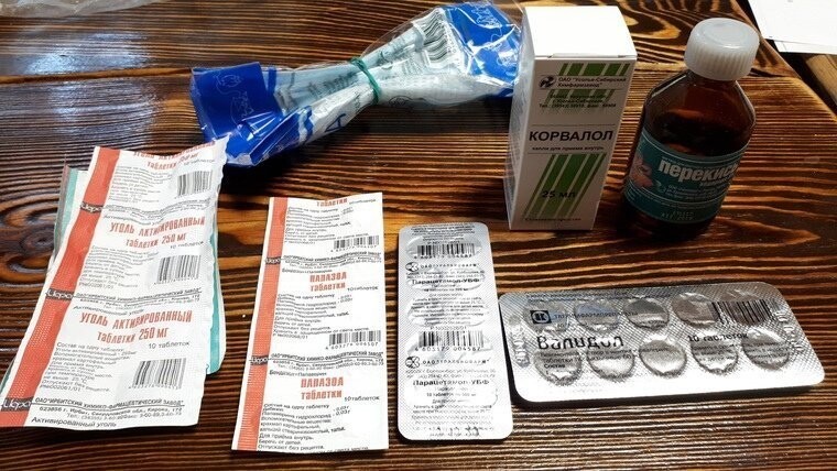 З - забота: на Урале вместе с агитками избирателям вручали лекарства