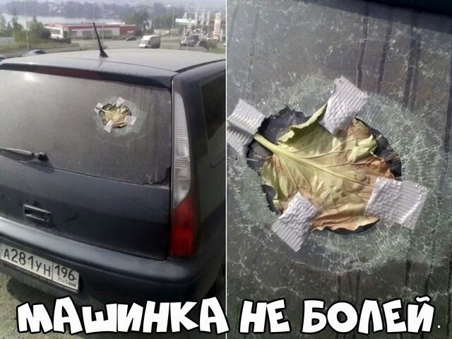 Автовсячина