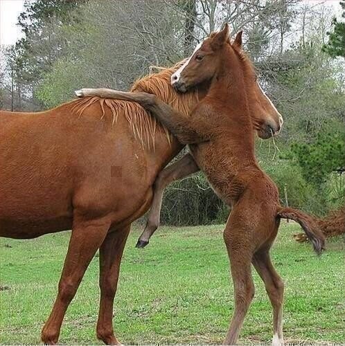 Позитивные фототочки. Часть 2