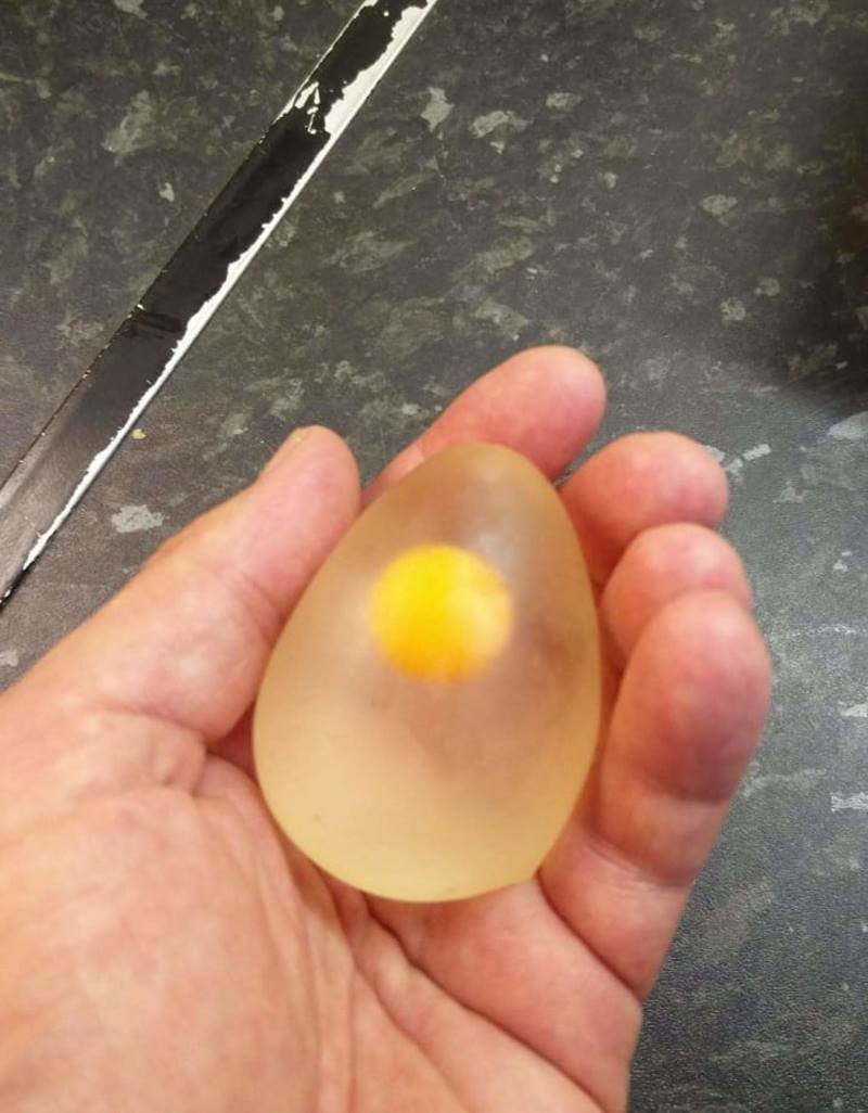 7. Так выглядит сырое яйцо без оболочки
