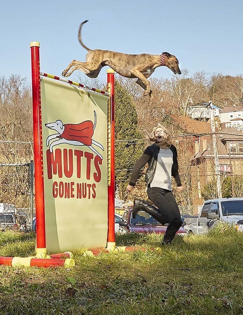 2-летняя собака по кличке Физер, принадлежащая американке Саманте Валле, установила рекорд среди собак по прыжкам в высоту, преодолев барьер высотой 191,7 см