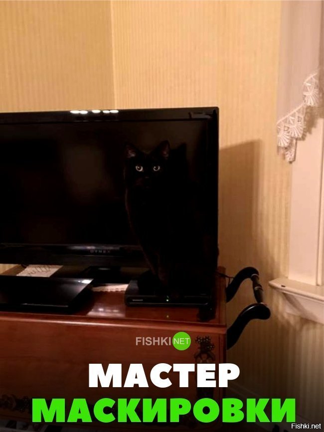 Мастер маскировки