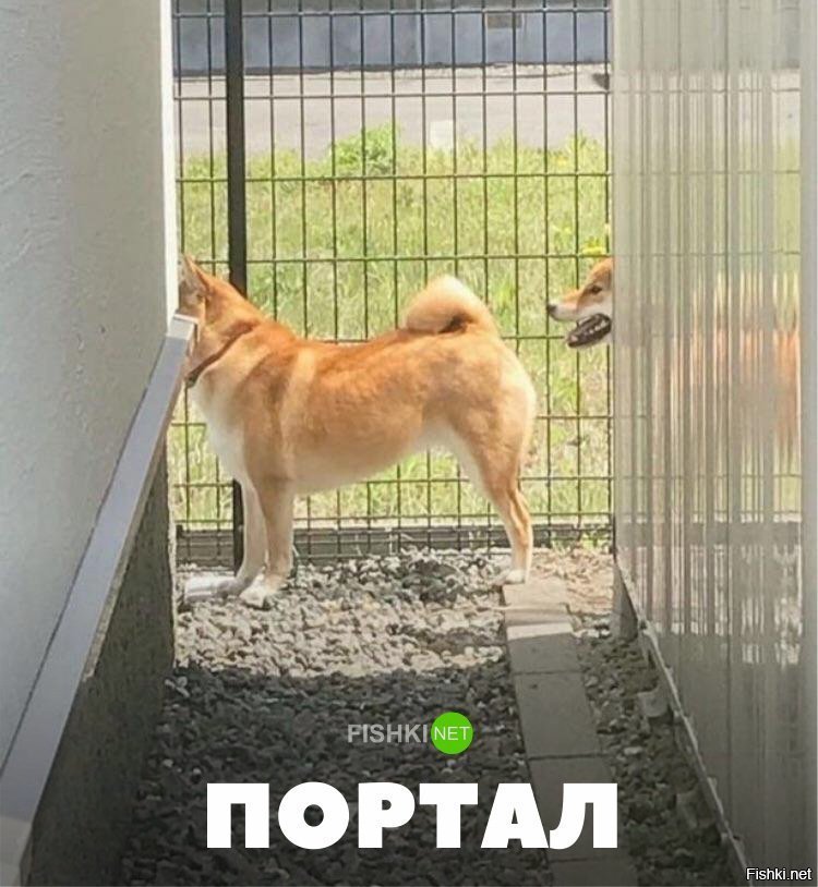 ПОртал