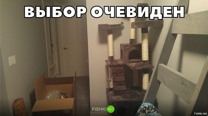 Выбор очевиден