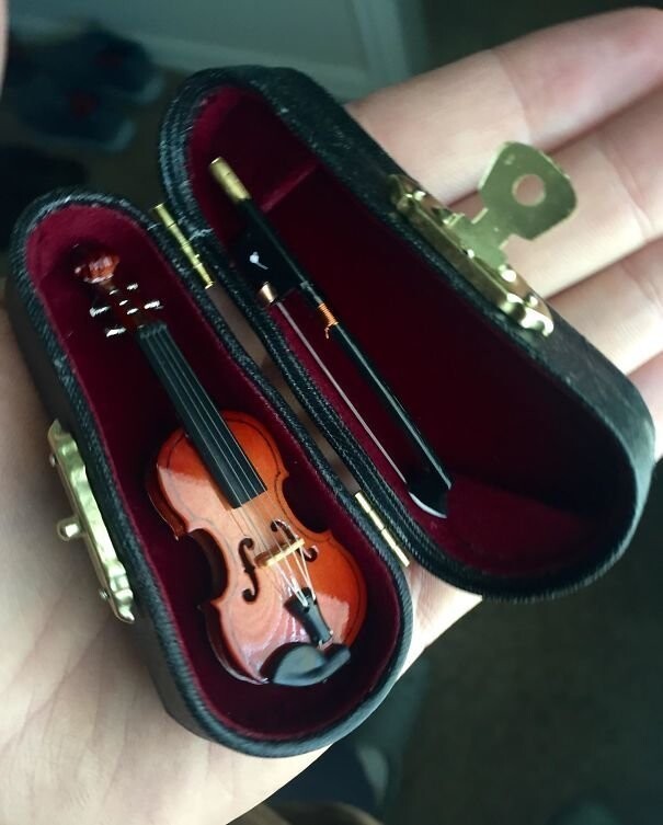 4. "Купил маленькую скрипку, чтобы играть на ней, когда коллеги будут жаловаться"