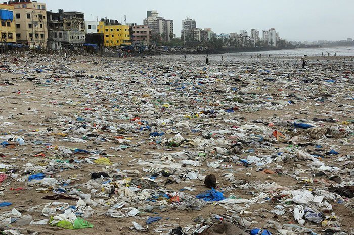 Для того чтобы морским черепахам легче жилось, необходимо очищать загрязненные прибрежные зоны в местах их обитания. Одно из таких мест - пляж в Мумбаи (Индия)