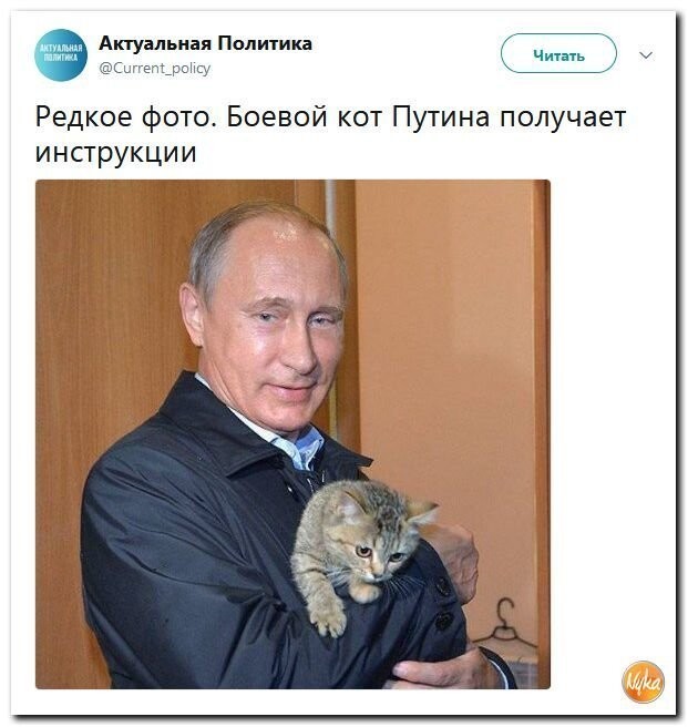 Политические коментарии соцсетей - 576