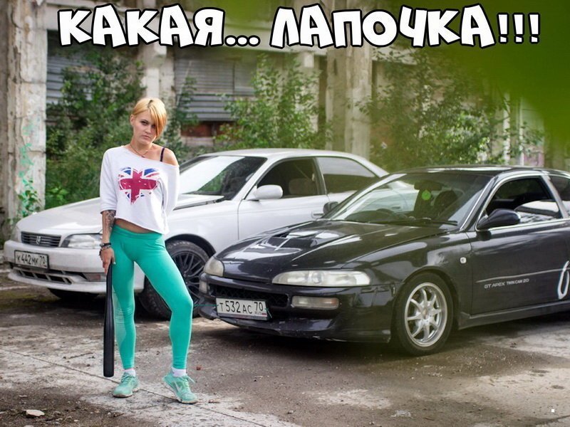 Автовсячина