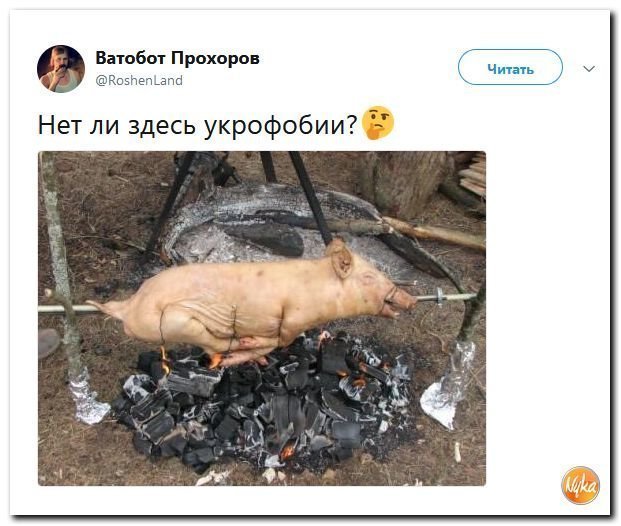 Политические коментарии соцсетей - 577
