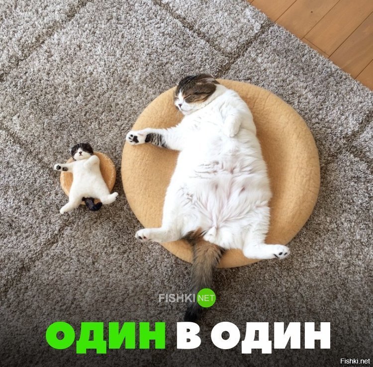 Один в один