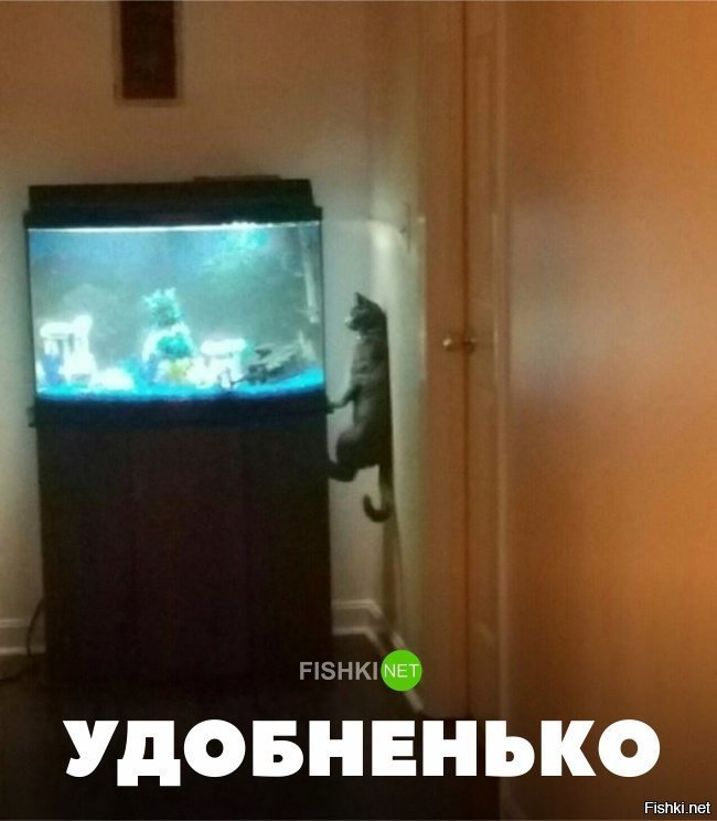 Удобненько