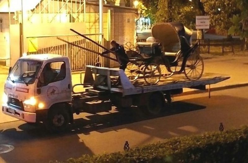Лошадь заказала услугу «трезвый водитель»: карету эвакуировали в центре Ростова