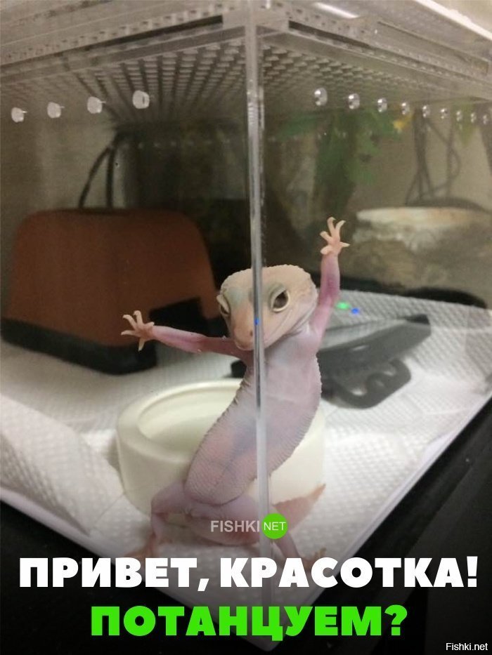 Потанцуем?
