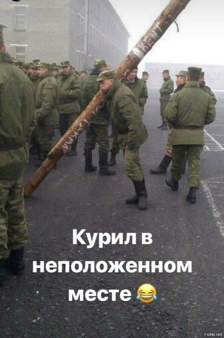 Армия научит