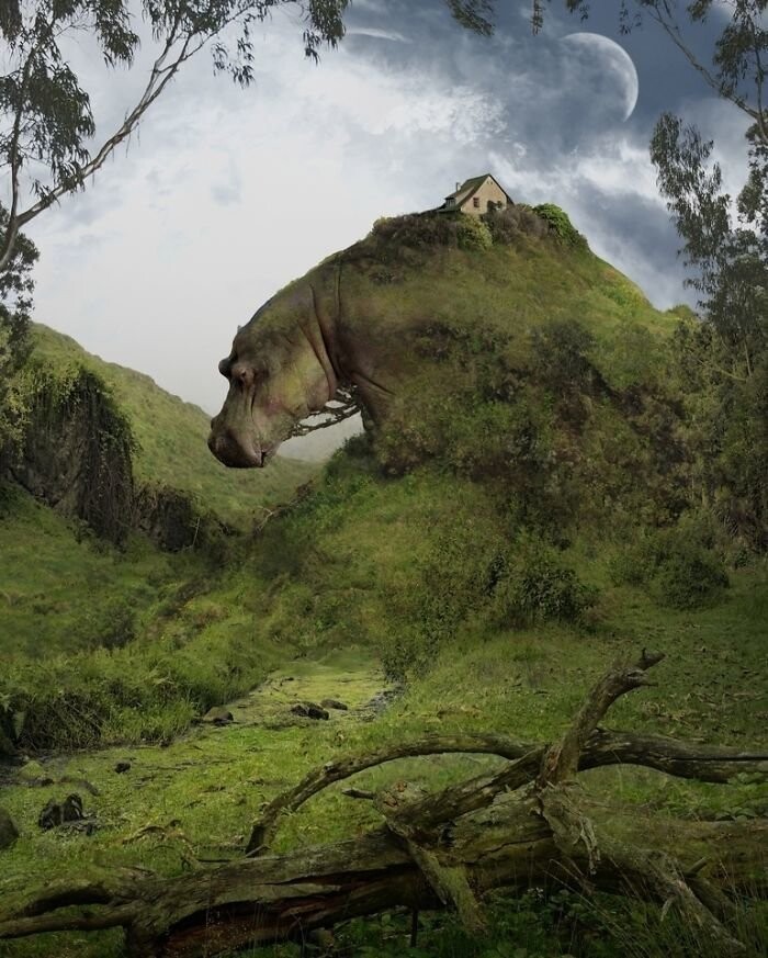 Художник создает сюрреалистические пейзажи, балансирующие между природой и другим измерением