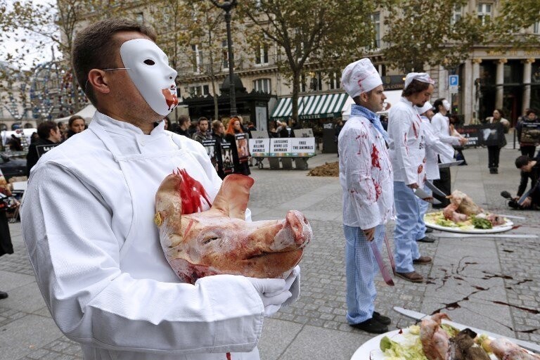 Во Франции задержали группу веганов, терроризирующих фермеров и владельцев сырных магазинов