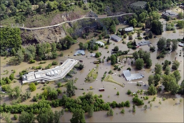 Наводнение в пражском зоопарке