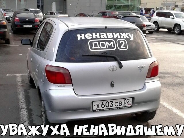 Автовсячина