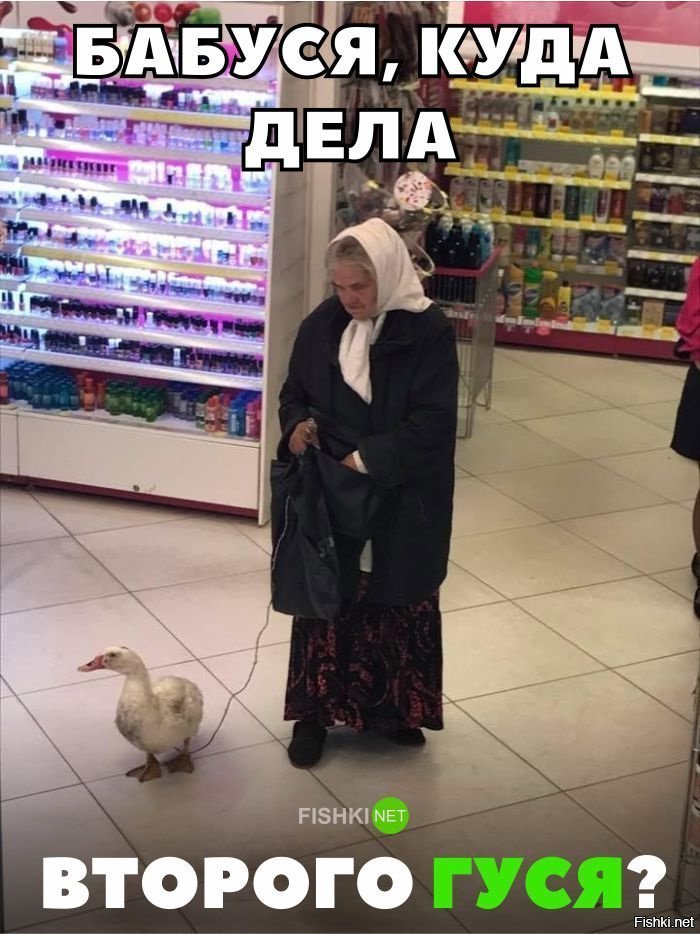 Бабуся потеряла второго гуся