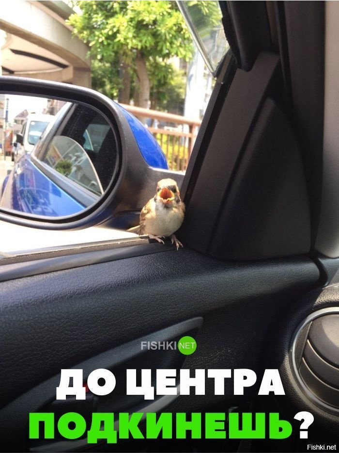 До центра докинешь?