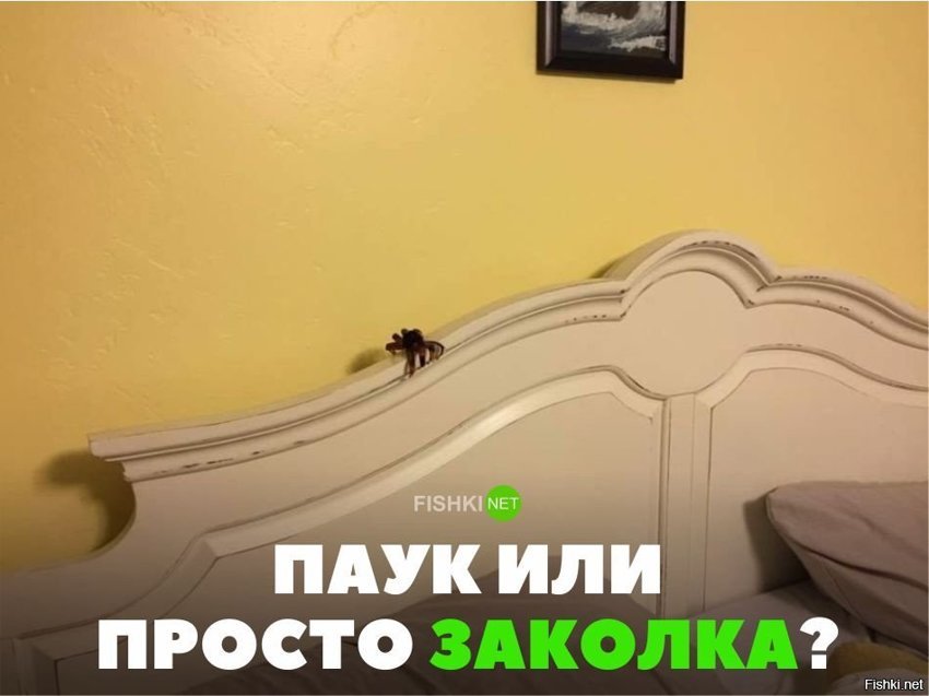 Паук или заколка?
