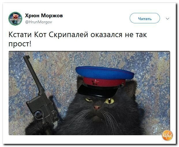 Политические коментарии соцсетей - 581