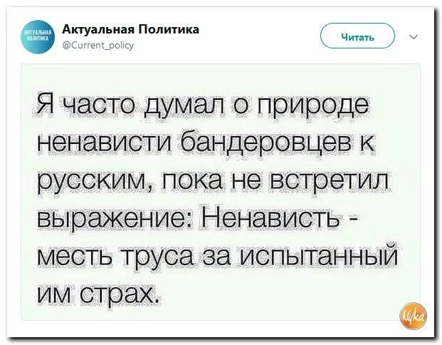 Политические коментарии соцсетей - 581