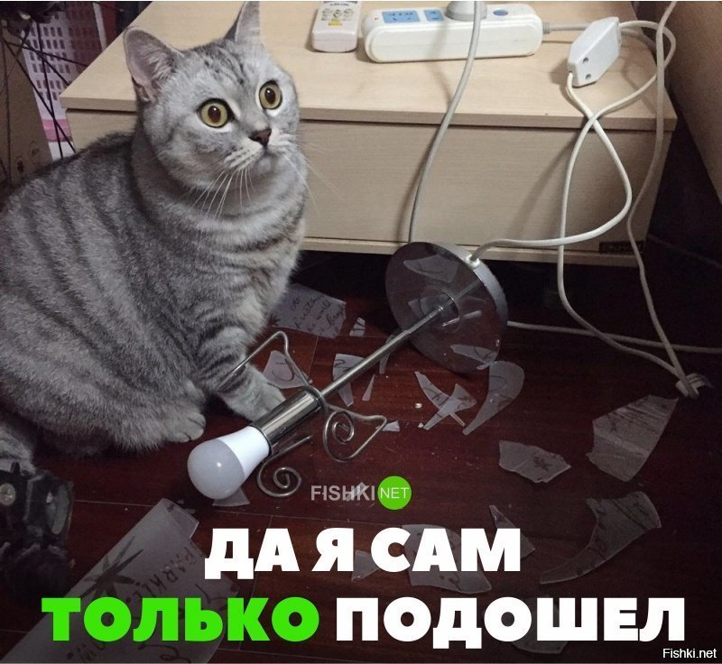 Я сам только подошёл