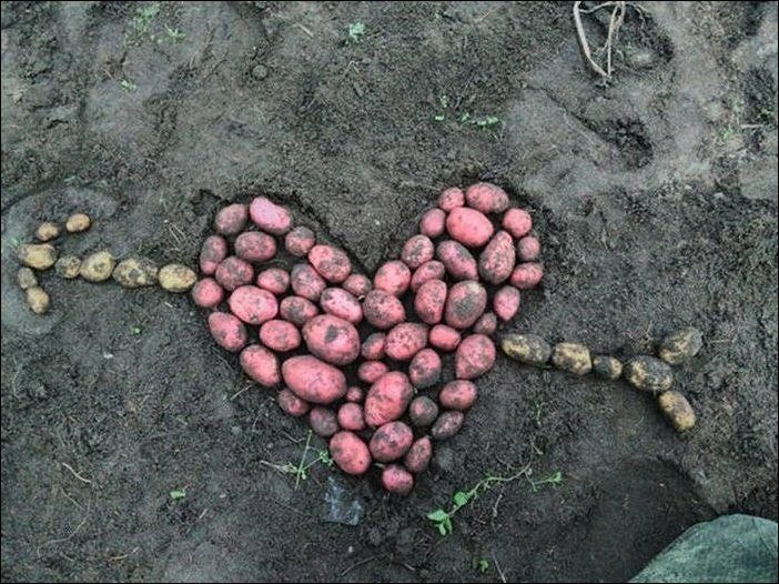 Поговаривают, что самые романтичные парни живут в Белоруссии