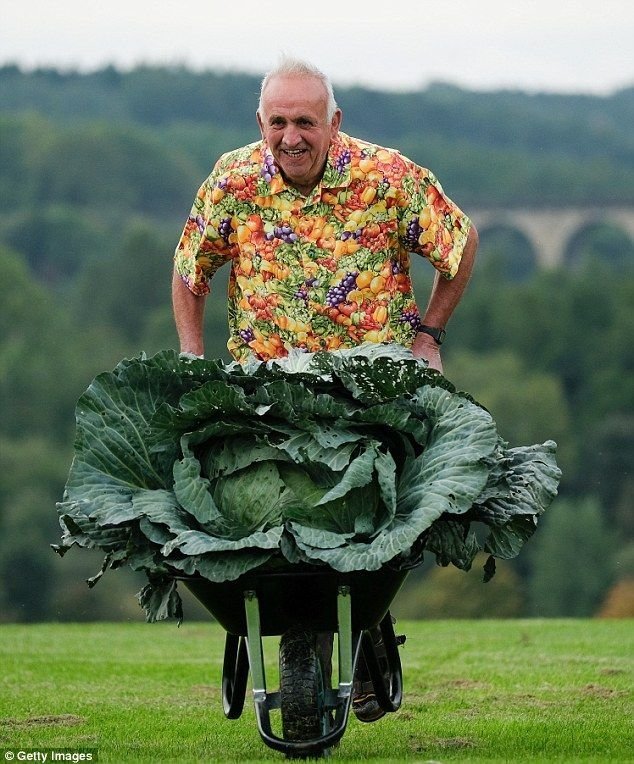 Британец смог вырастить овощи-гиганты