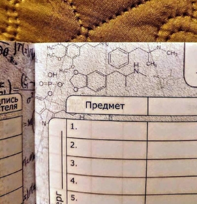 Родители обнаружили в школьном дневнике подозрительные формулы