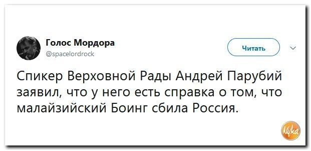Политические коментарии соцсетей - 585